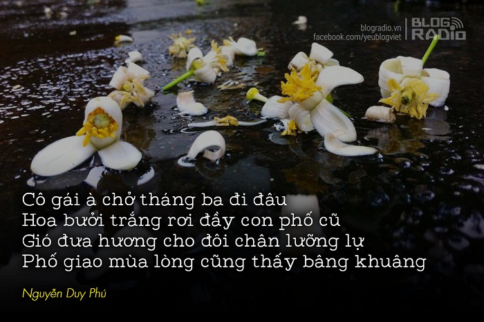 <br />
Chắc tại kiếp trước mình duyên nợ gì nhau