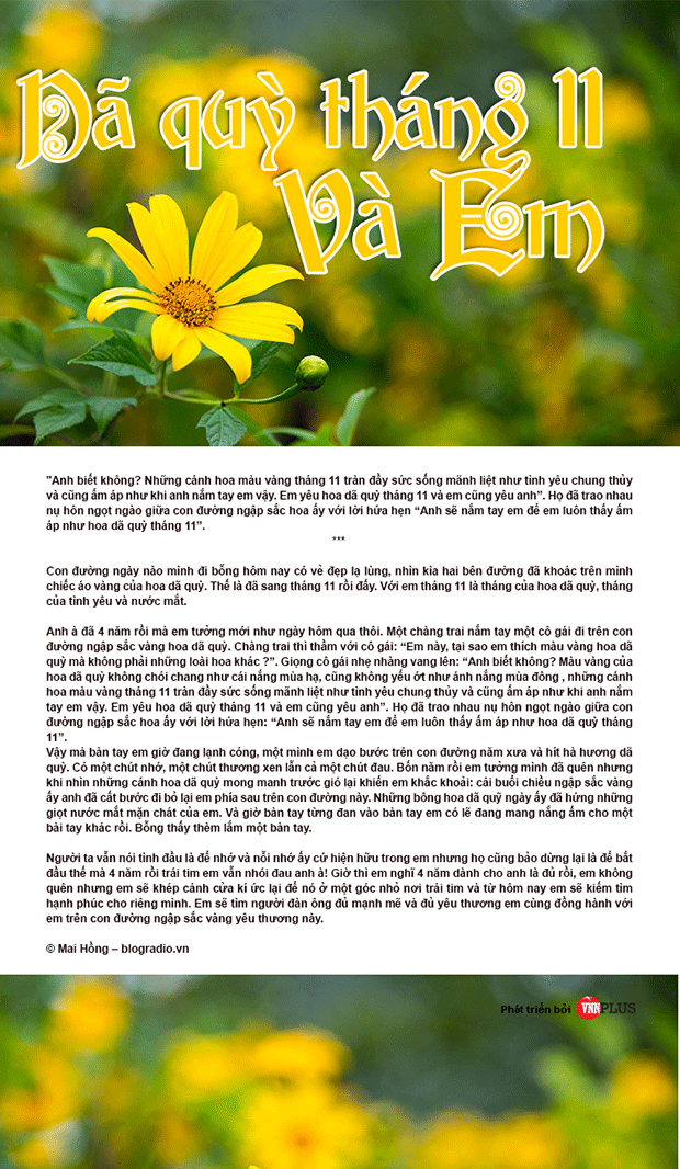 Dã quỳ tháng 11 và em