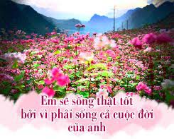 Em sẽ sống thật tốt bởi vì phải sống cả cuộc đời của anh