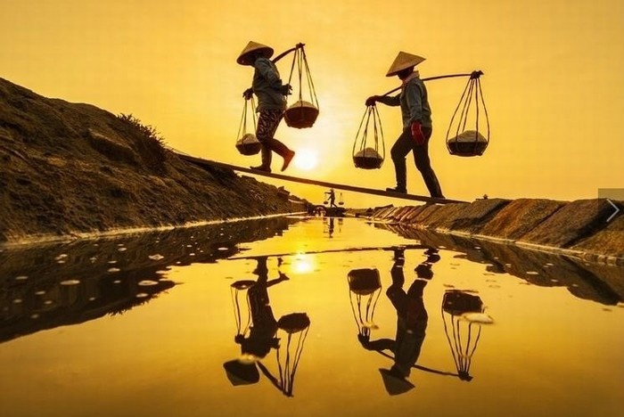 Thương mùi muối mặn