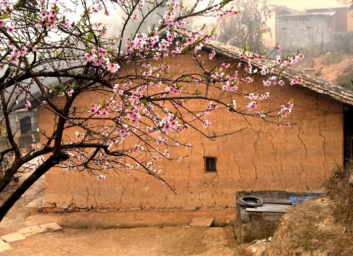 Chùm thơ: Say giữa trời xuân (Nguyễn Thành Giang)