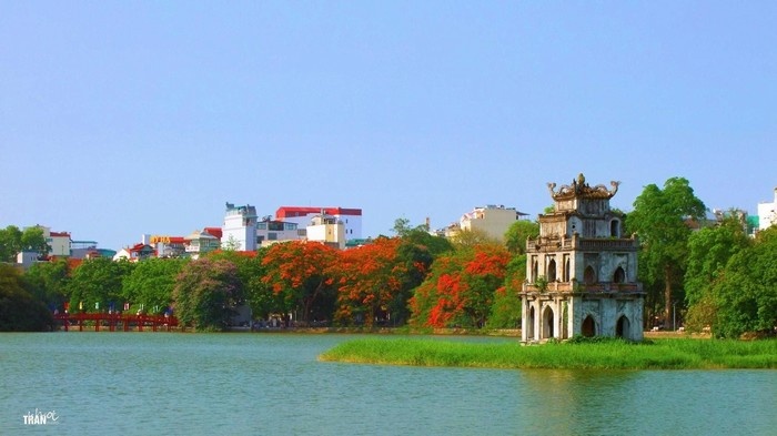 Tháng tư về xao xuyến một mùa hoa