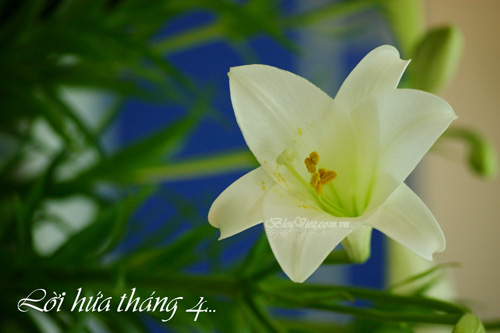Lời hứa tháng tư
