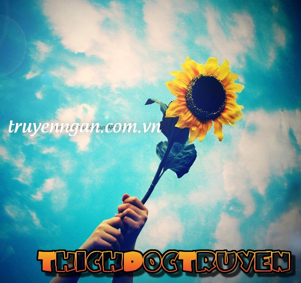 Đi về phía mặt trời