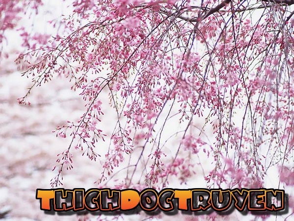 Mình yêu nhau thêm lần nữa được không anh?