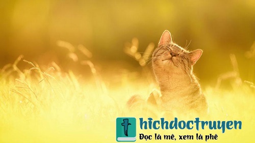 Những lời chúc buổi sáng hay ý nghĩa bằng hình ảnh đẹp đáng để đăng lên tường