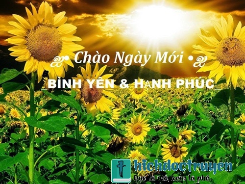 Những lời chúc buổi sáng hay ý nghĩa bằng hình ảnh đẹp đáng để đăng lên tường