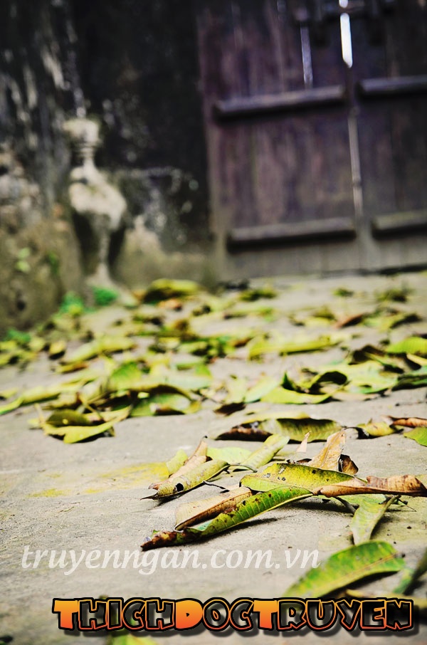 Tình trong biển tình
